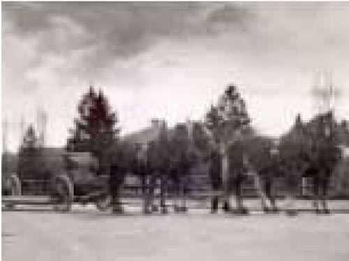 Müller Transport - Geschichte